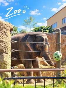 🦁 子供達と動物園へ！🐘🌿